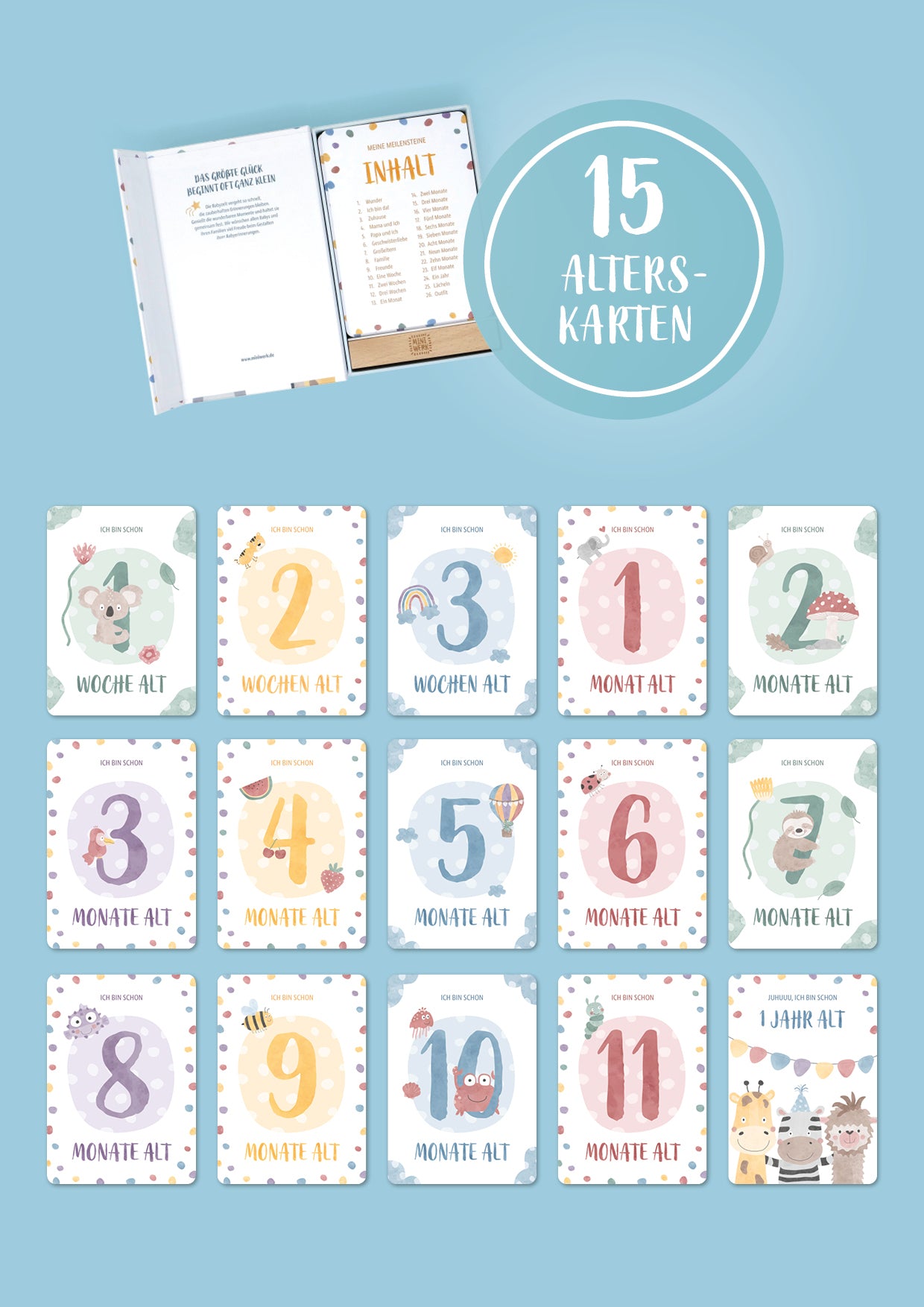 Baby Meilensteinkarten Erinnerungsbox 0-12 Monate